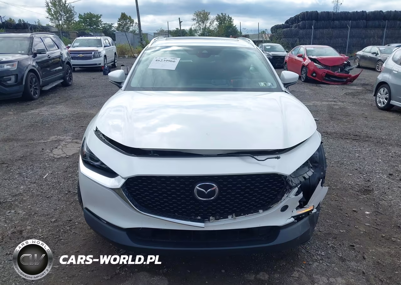 2021 Mazda Cx-30 Premium VIN:3MVDMBDL1MM306132 - 12