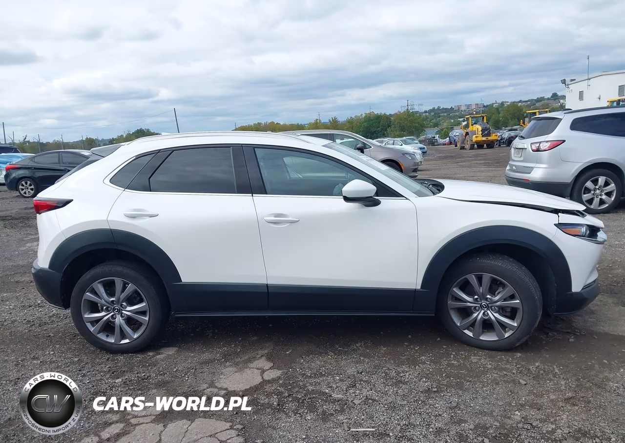 2021 Mazda Cx-30 Premium VIN:3MVDMBDL1MM306132 - 13