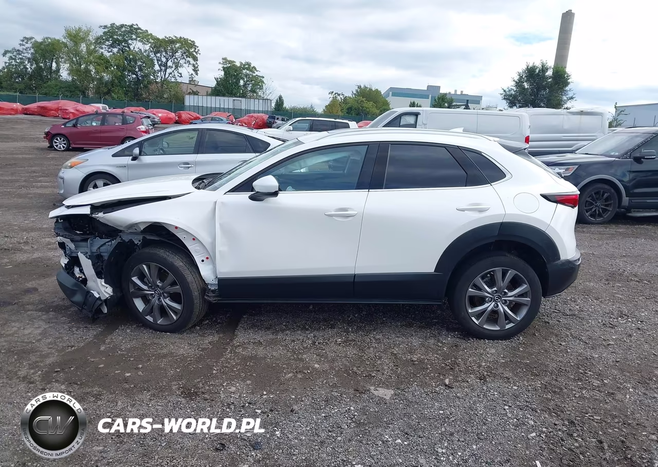 2021 Mazda Cx-30 Premium VIN:3MVDMBDL1MM306132 - 14