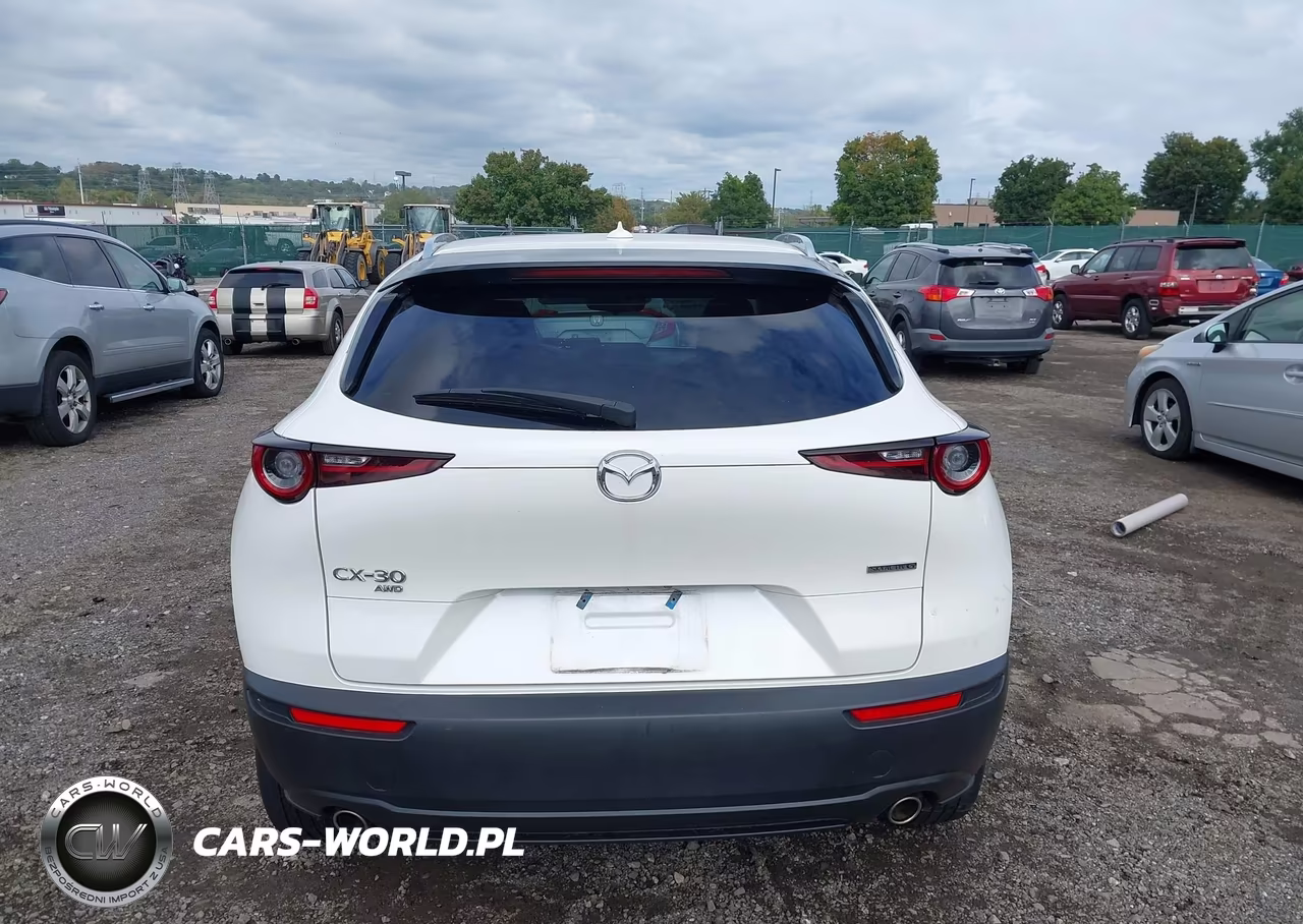 2021 Mazda Cx-30 Premium VIN:3MVDMBDL1MM306132 - 16
