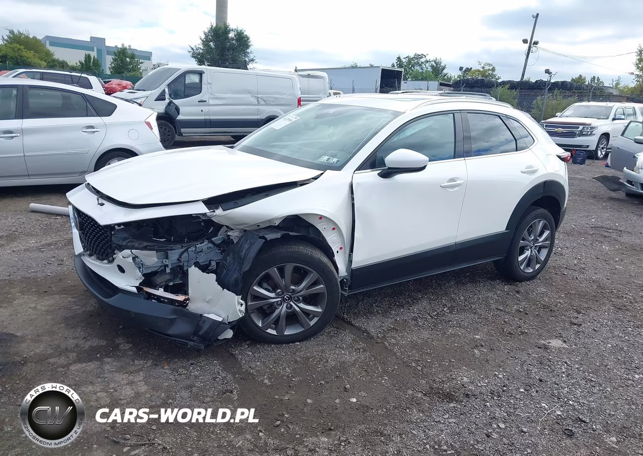 2021 Mazda Cx-30 Premium VIN:3MVDMBDL1MM306132 - 2