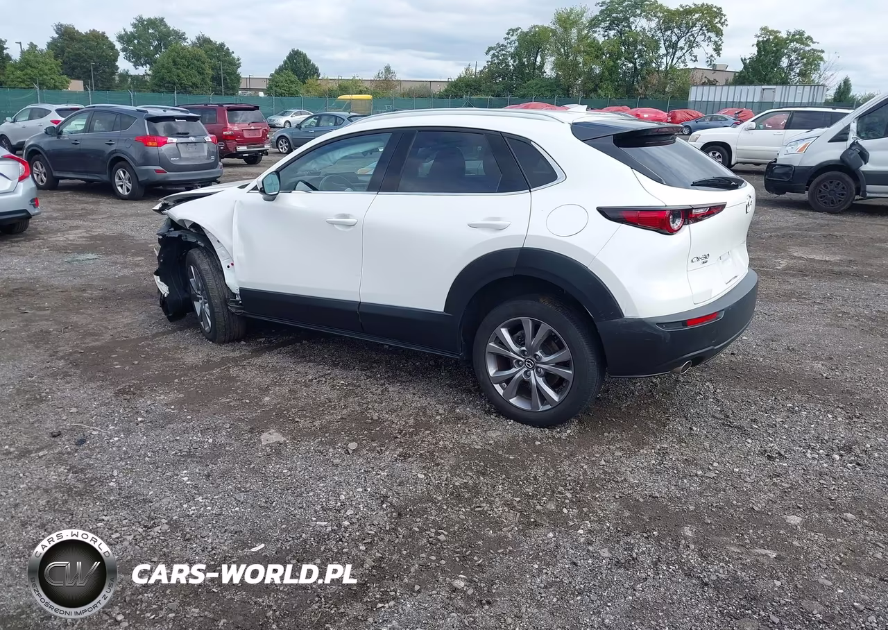 2021 Mazda Cx-30 Premium VIN:3MVDMBDL1MM306132 - 3
