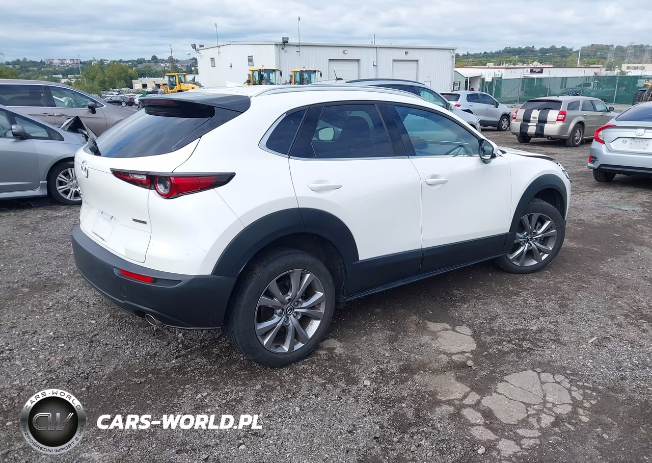2021 Mazda Cx-30 Premium VIN:3MVDMBDL1MM306132 - 4