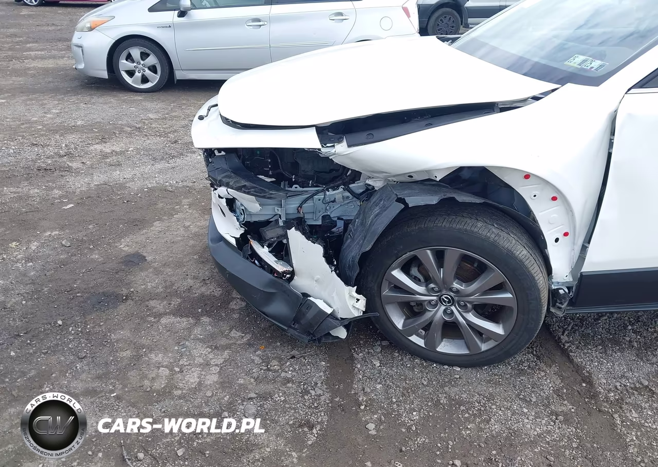 2021 Mazda Cx-30 Premium VIN:3MVDMBDL1MM306132 - 6
