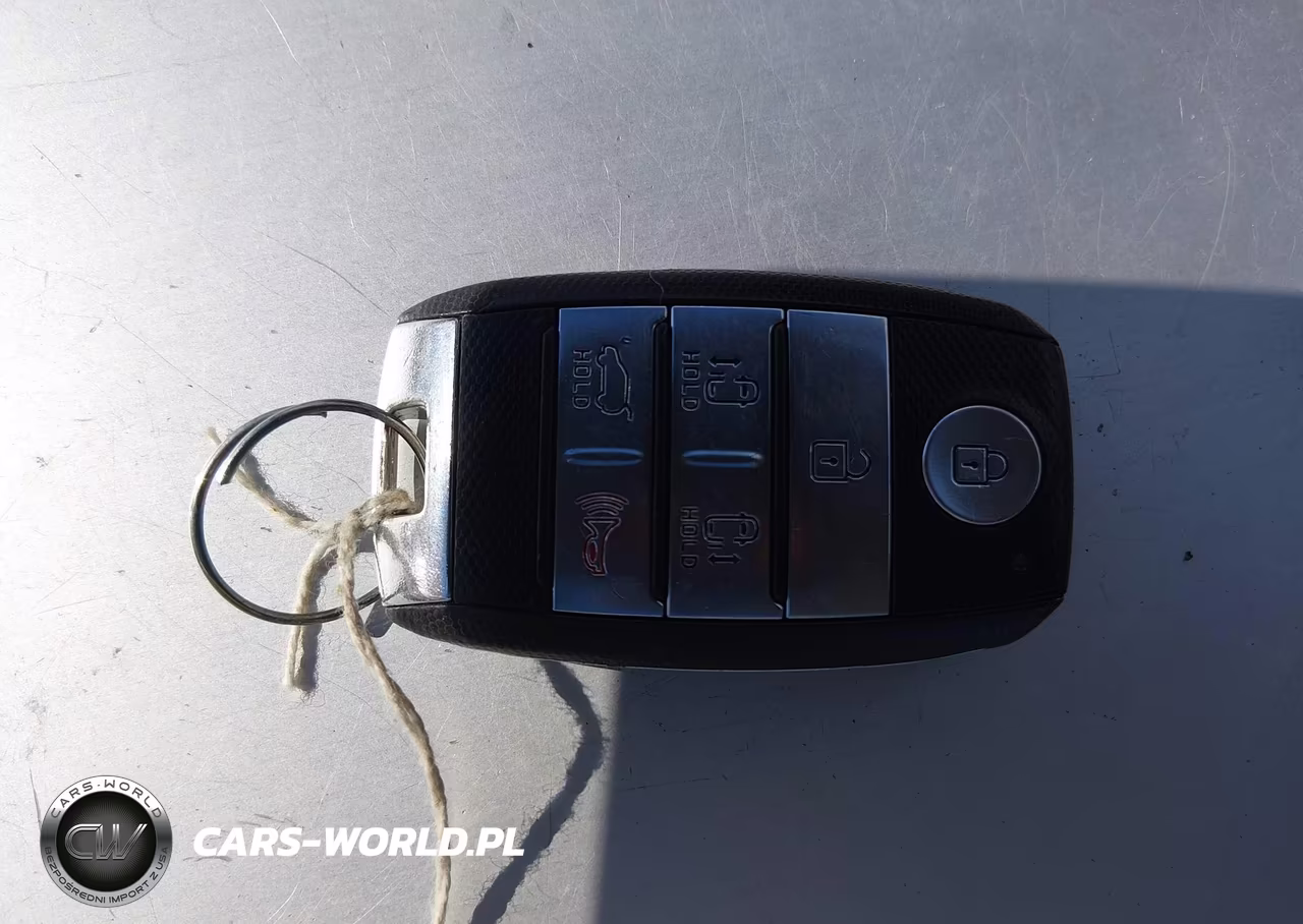 2017 Kia Sedona Lx VIN:KNDMB5C18H6313948 - 11