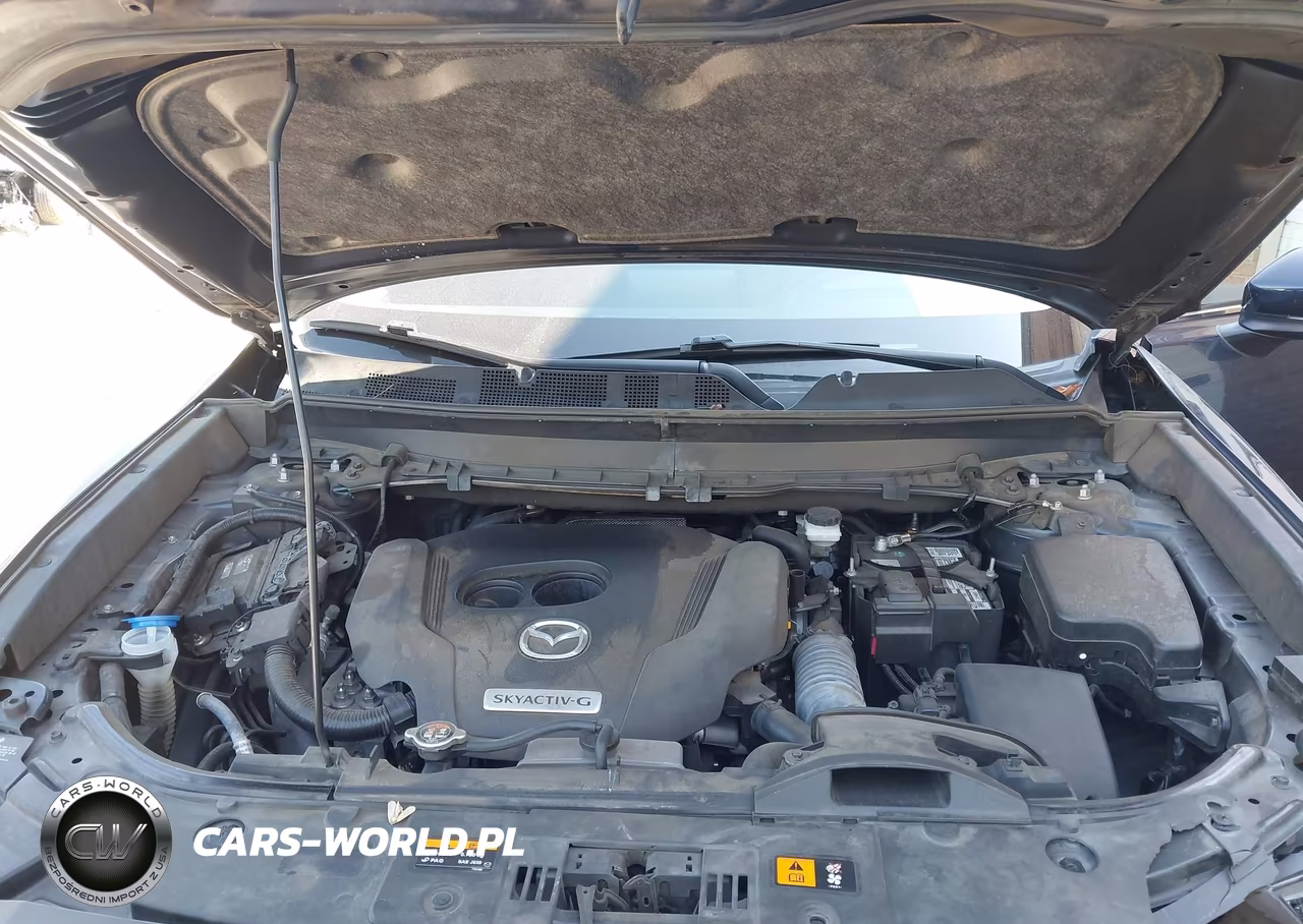 2020 Mazda Cx-9 Grand Touring VIN:JM3TCBDY6L0413987 - 10