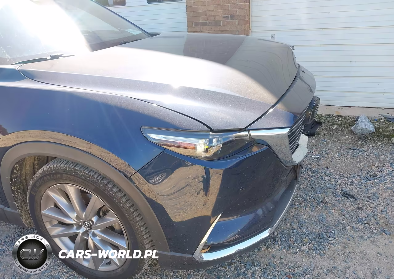 2020 Mazda Cx-9 Grand Touring VIN:JM3TCBDY6L0413987 - 18