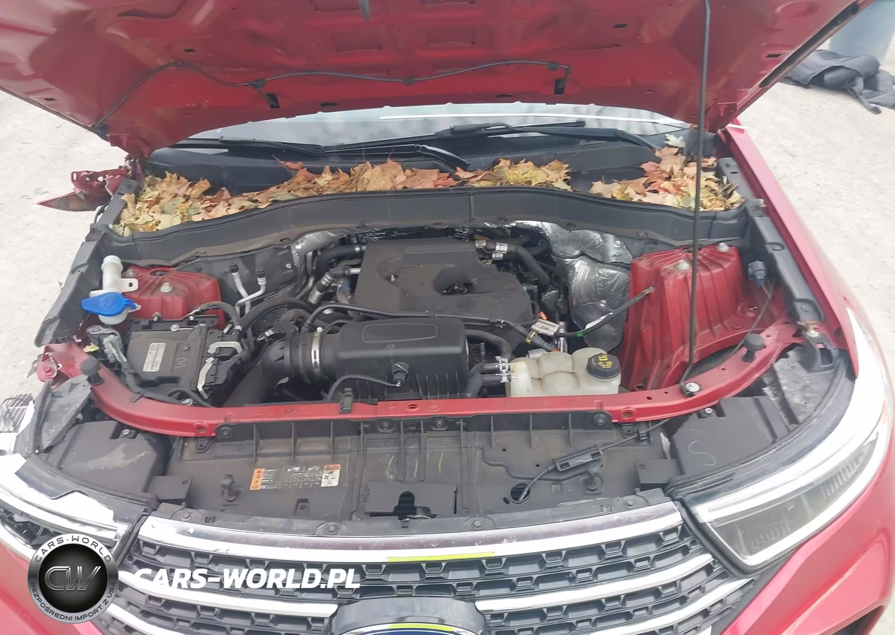 2020 Ford Explorer Xlt VIN:1FMSK8DH8LGB50012 - 10