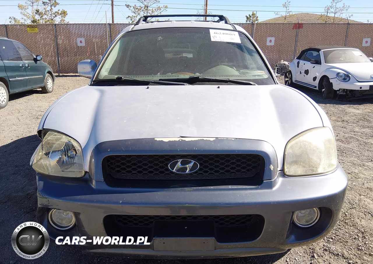 2002 Hyundai Santa Fe Gls-Lx VIN:KM8SC13D42U175265 - 6