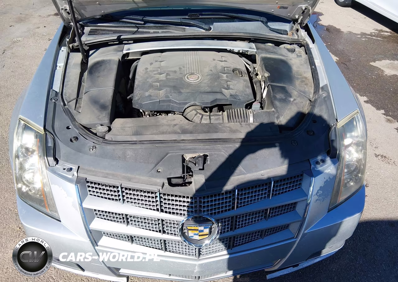 2011 Cadillac Cts Luxury VIN:1G6DE5EY0B0141252 - 10