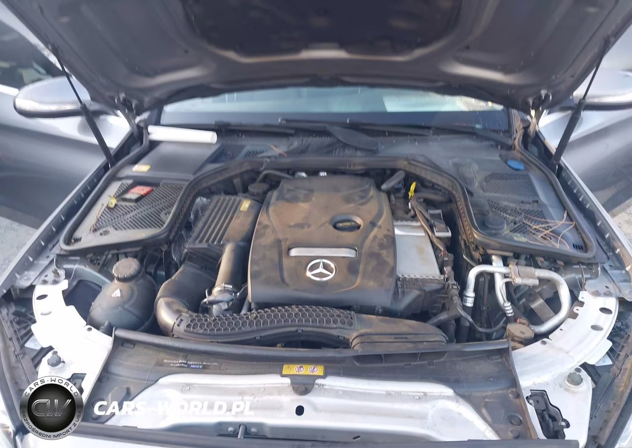 2015 Mercedes-Benz C-Class C 300 VIN:55SWF4JB5FU076287 - 10