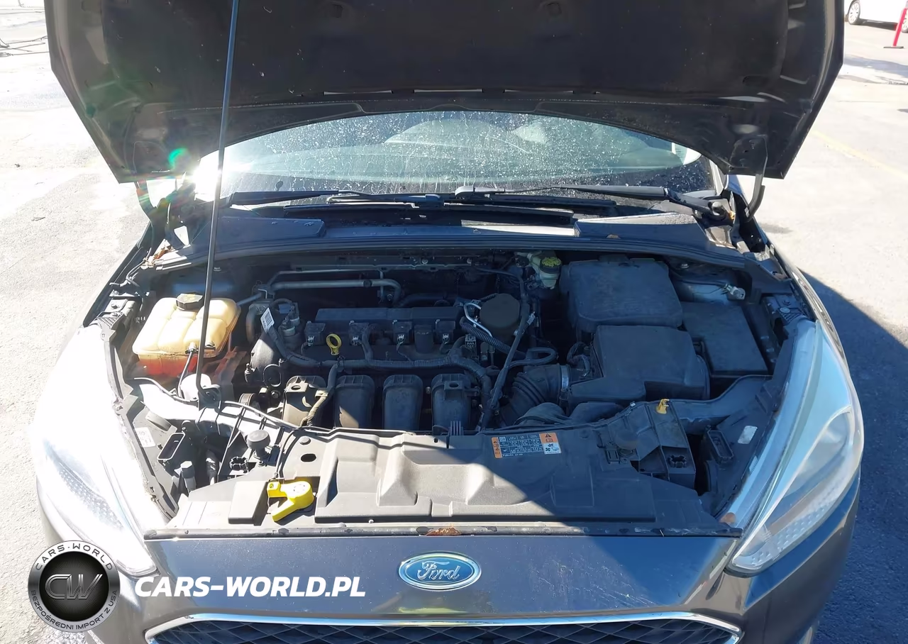 2016 Ford Focus Se VIN:1FADP3F27GL270574 - 10