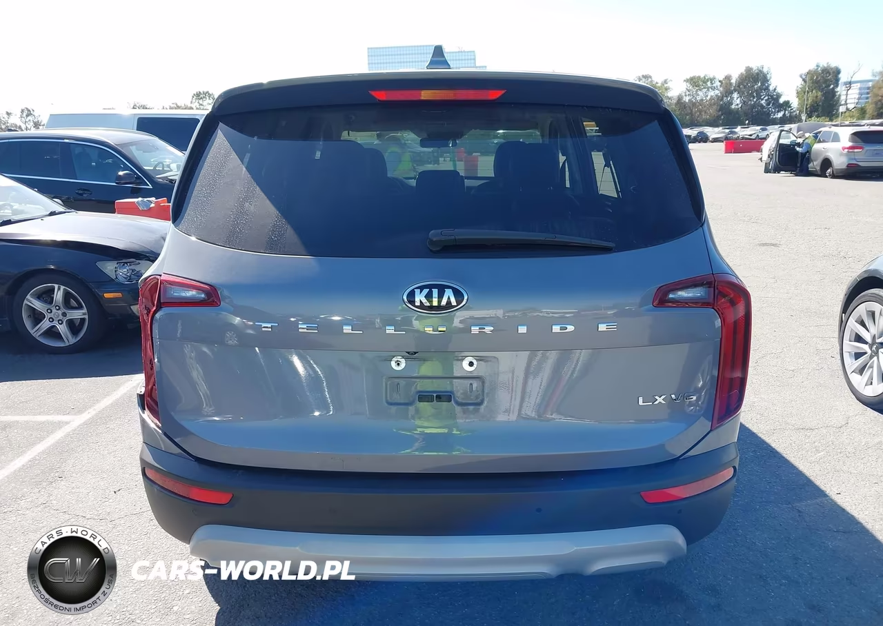 2020 Kia Telluride Lx VIN:5XYP24HC4LG058822 - 17