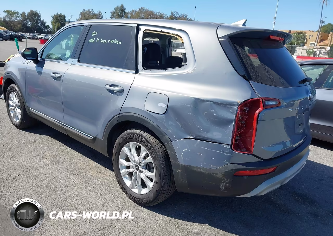 2020 Kia Telluride Lx VIN:5XYP24HC4LG058822 - 3
