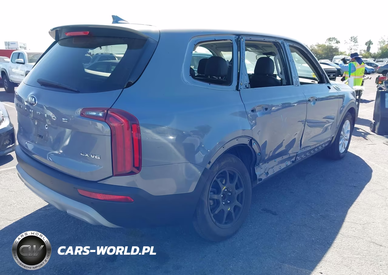 2020 Kia Telluride Lx VIN:5XYP24HC4LG058822 - 4
