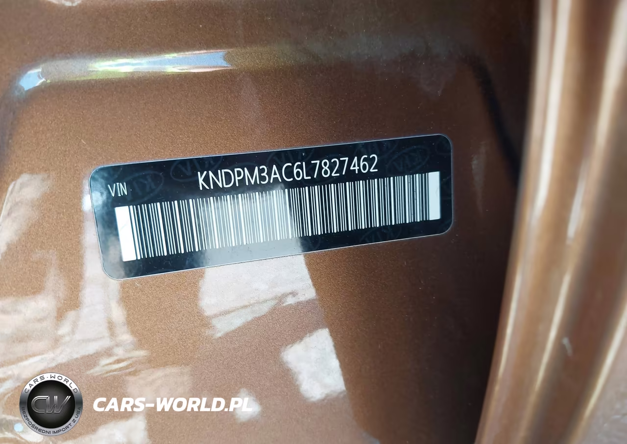 2020 Kia Sportage Lx VIN:KNDPM3AC6L7827462 - 9