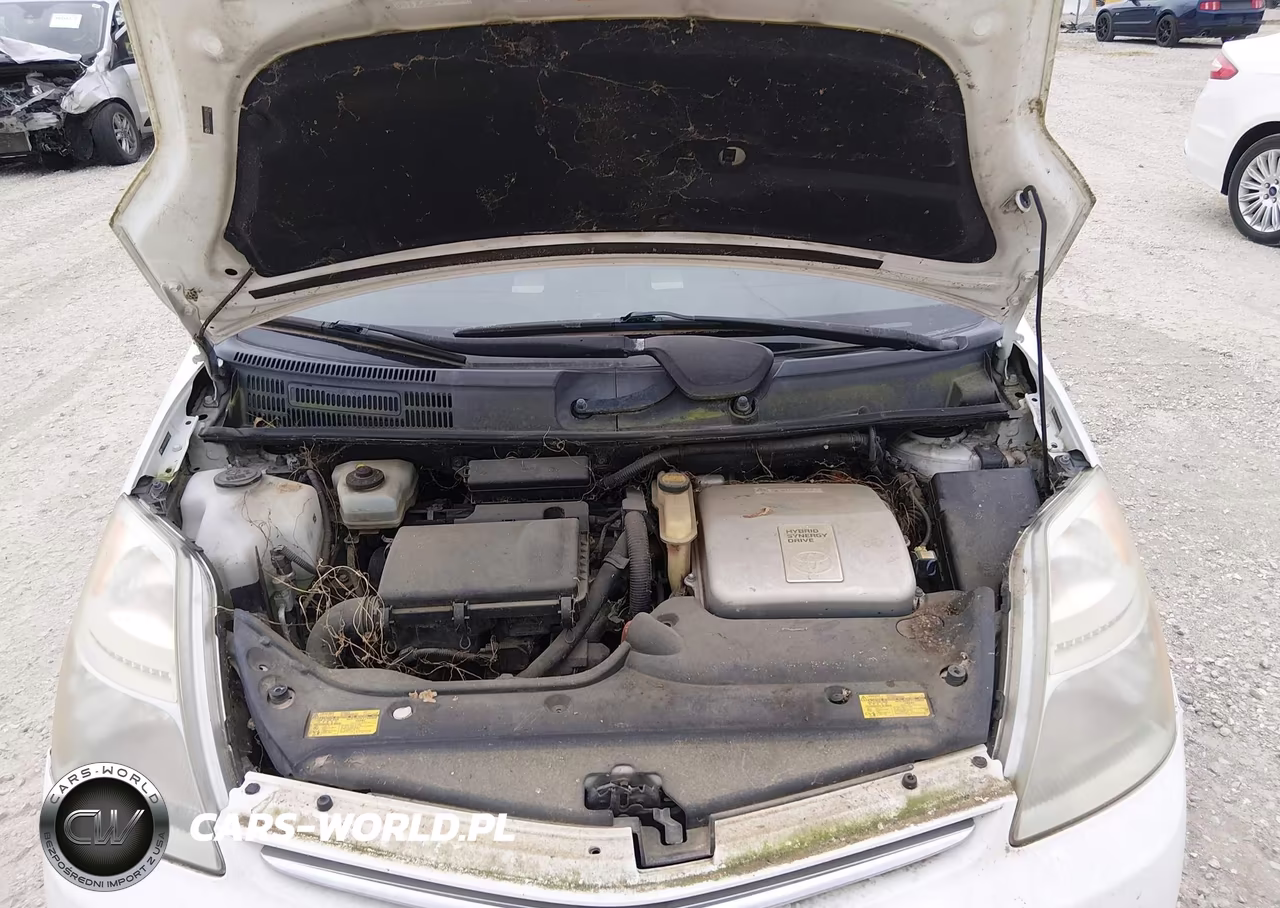2008 Toyota Prius VIN:JTDKB20U183313893 - 10