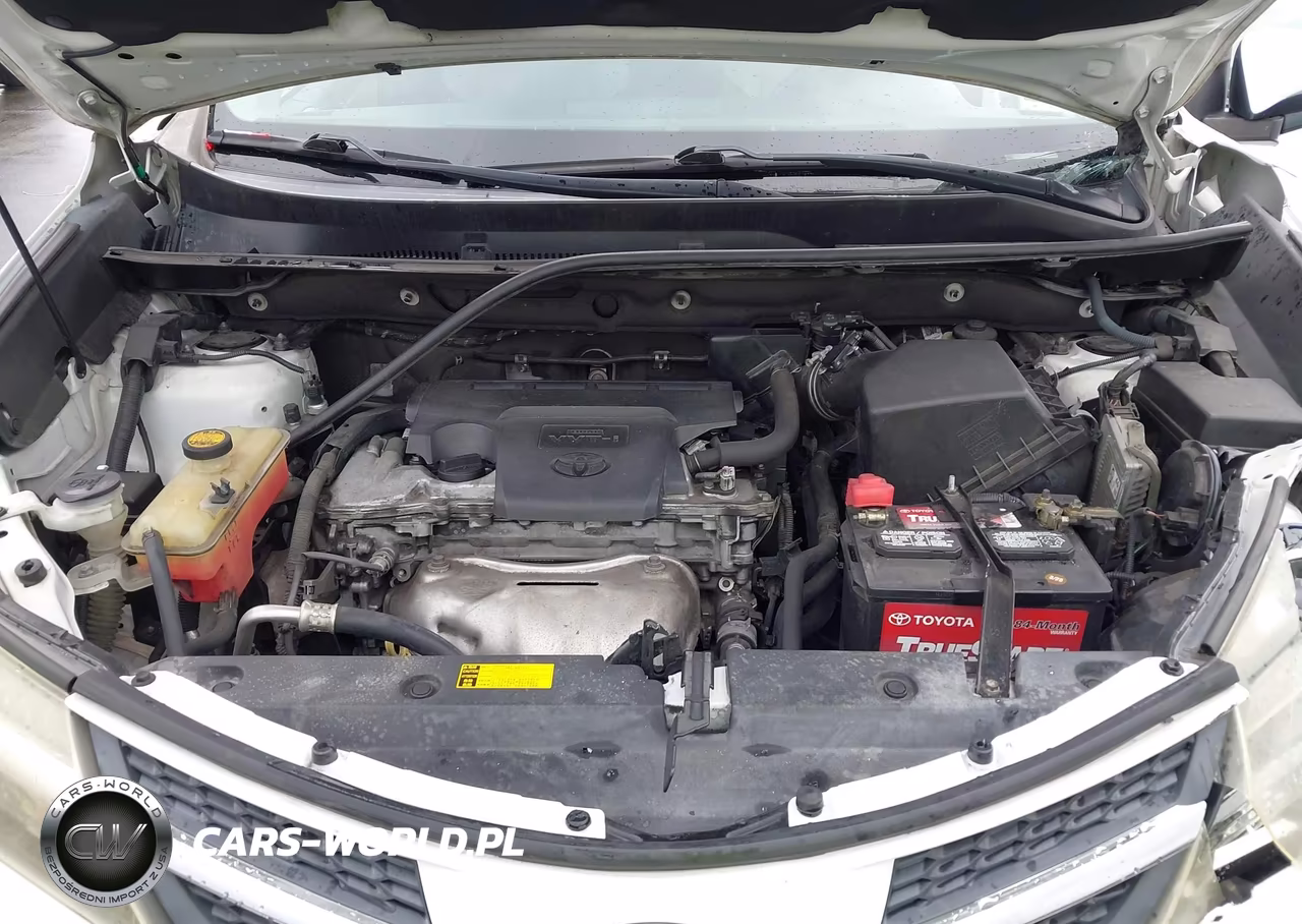 2015 Toyota Rav4 Xle VIN:2T3WFREVXFW214922 - 10