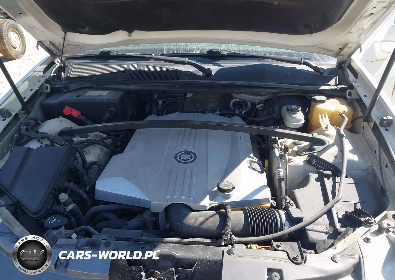 2004 Cadillac Srx V8 VIN:1GYDE63A440124282 - 10
