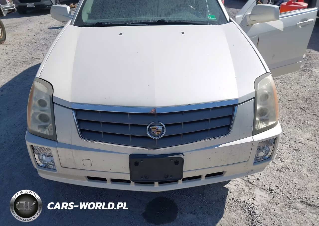 2004 Cadillac Srx V8 VIN:1GYDE63A440124282 - 6