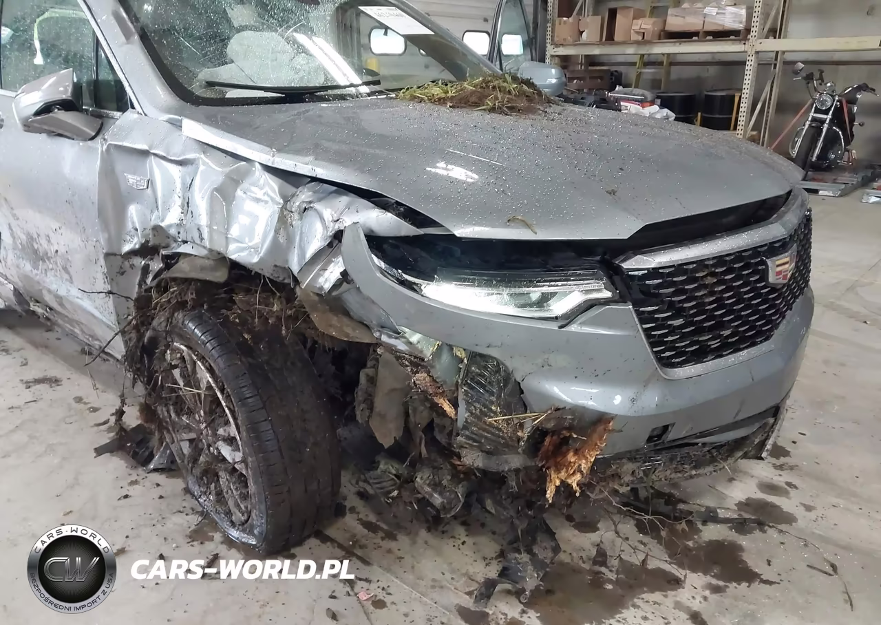 2024 Cadillac Xt6 Awd Premium Luxury VIN:1GYKPFRS9RZ712232 - 6