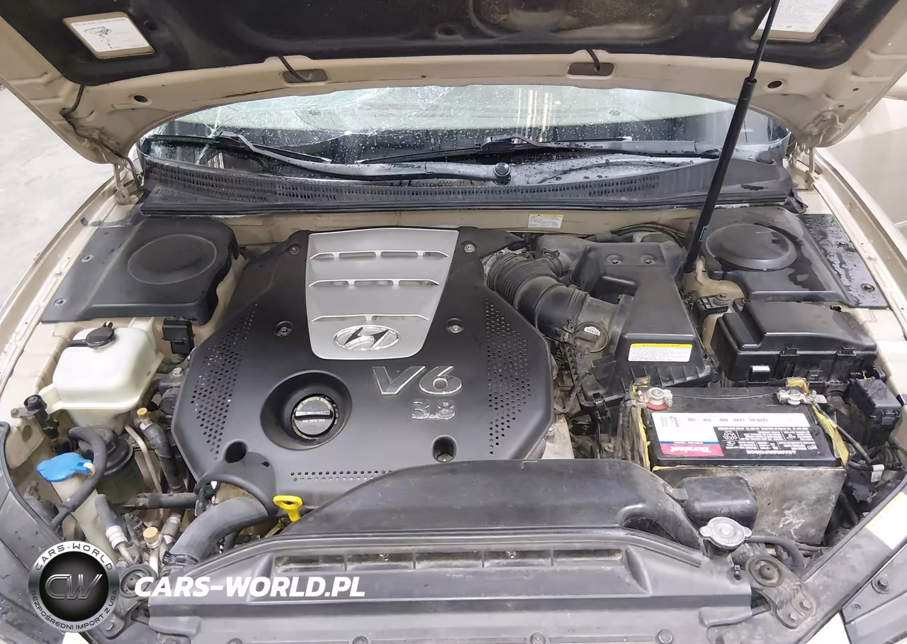 2006 Hyundai Azera Limited-Se VIN:KMHFC46F96A086864 - 10