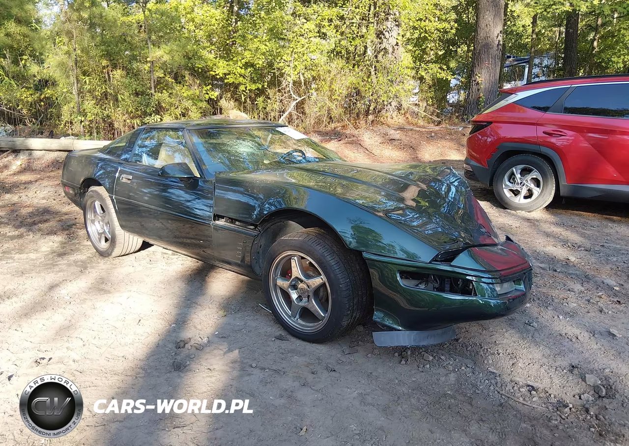 1996 Chevrolet Corvette VIN:1G1YY22P4T5104203 - 1
