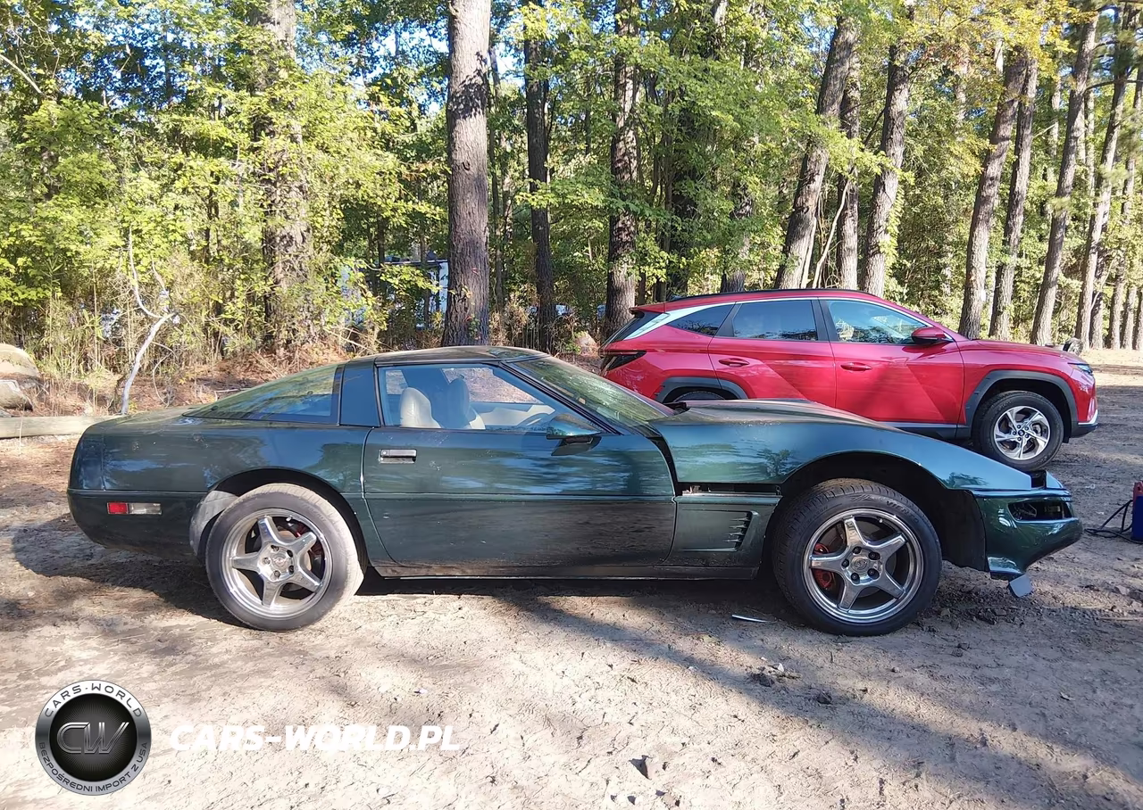 1996 Chevrolet Corvette VIN:1G1YY22P4T5104203 - 13