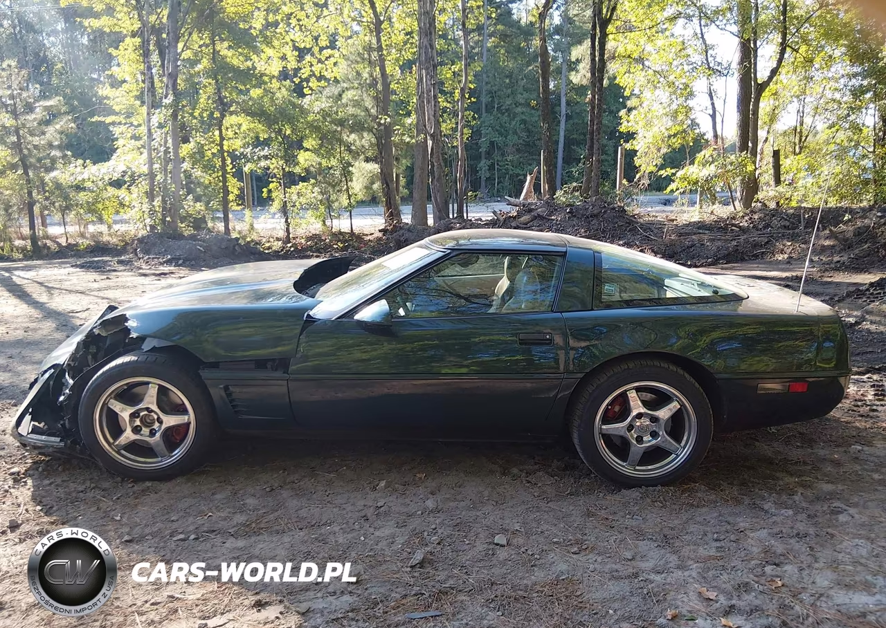 1996 Chevrolet Corvette VIN:1G1YY22P4T5104203 - 14