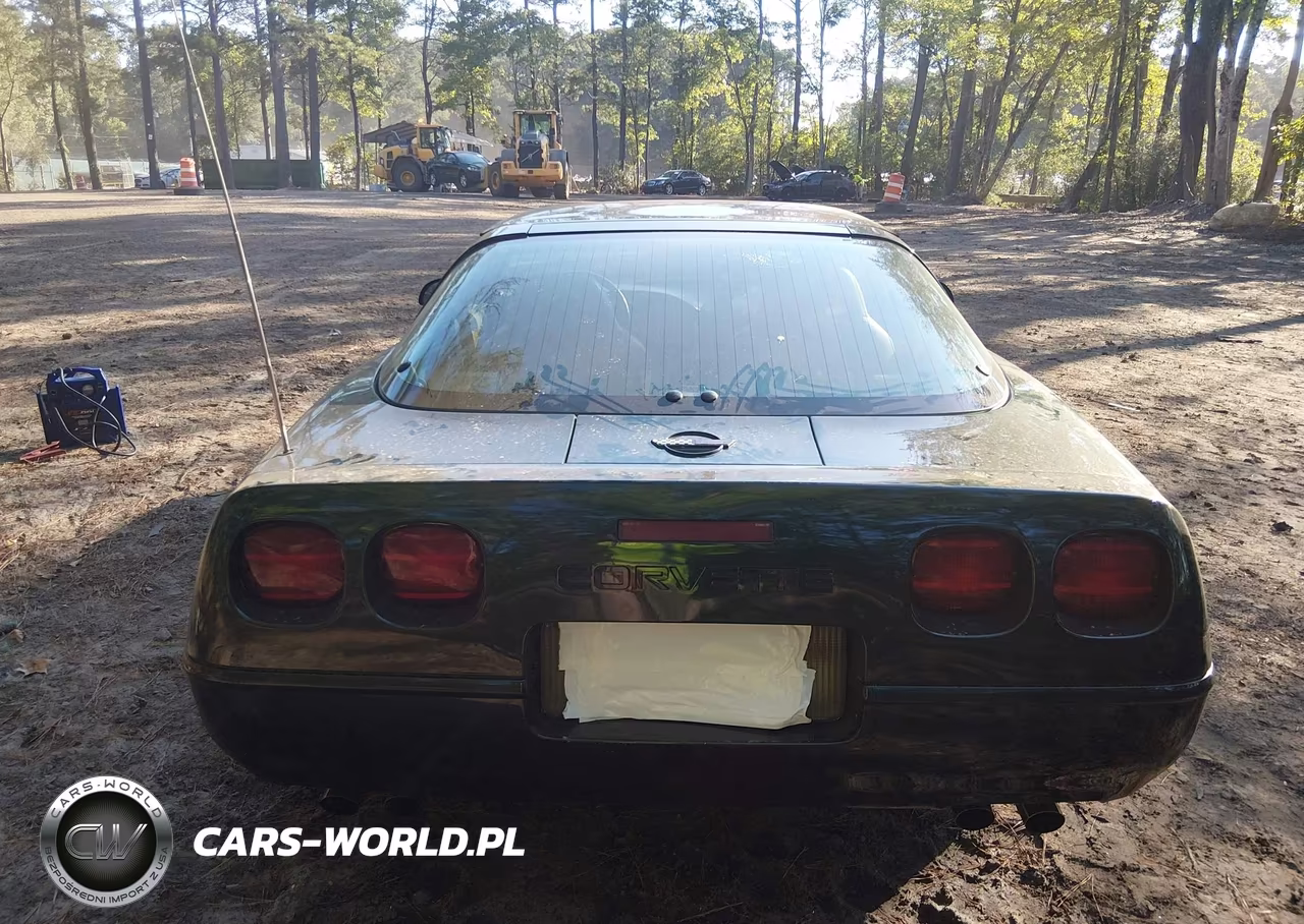1996 Chevrolet Corvette VIN:1G1YY22P4T5104203 - 16
