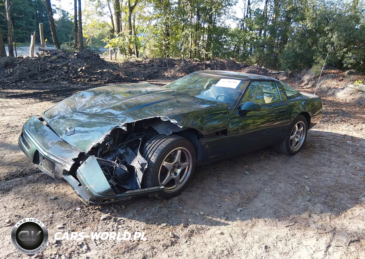1996 Chevrolet Corvette VIN:1G1YY22P4T5104203 - 2