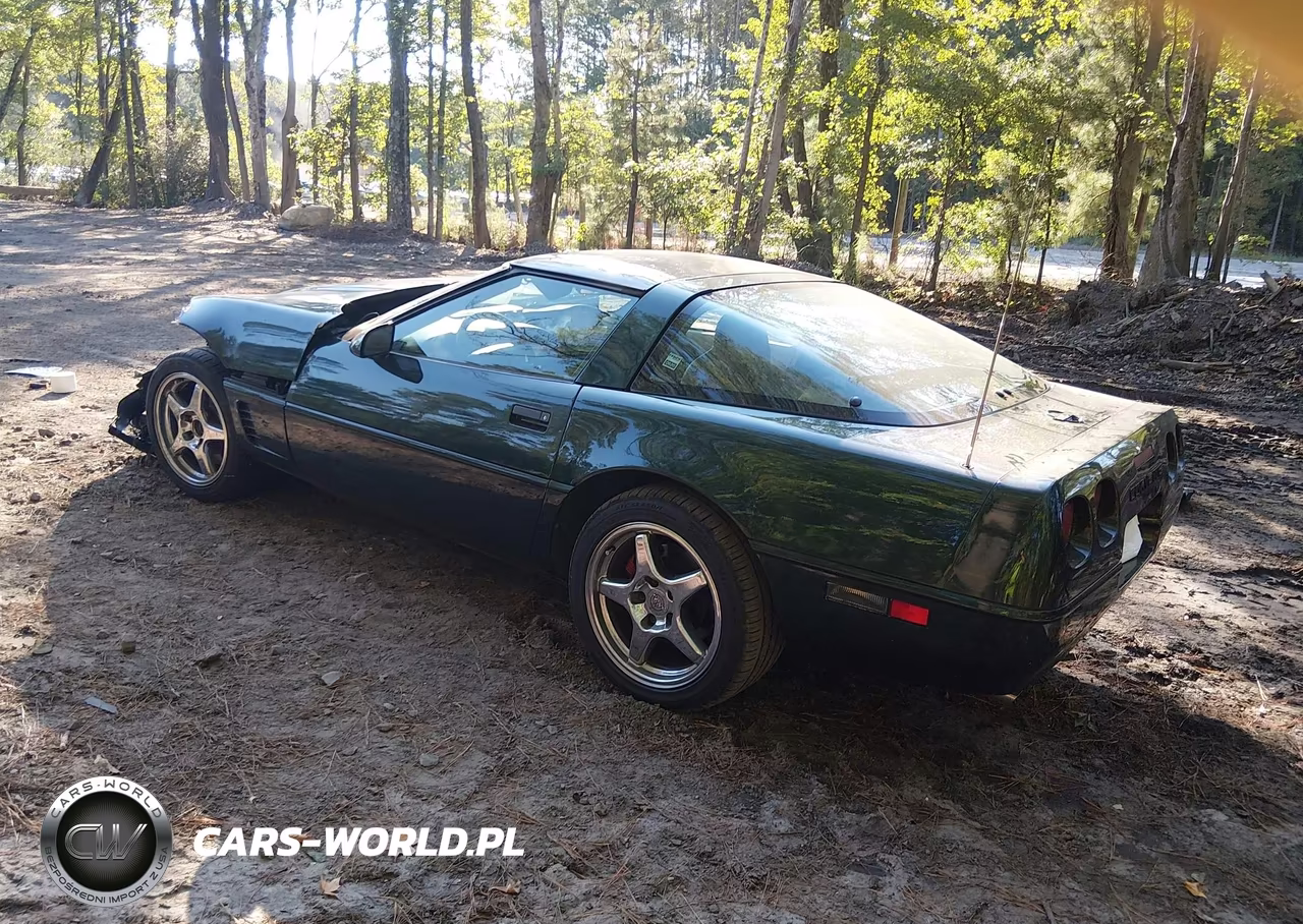 1996 Chevrolet Corvette VIN:1G1YY22P4T5104203 - 3