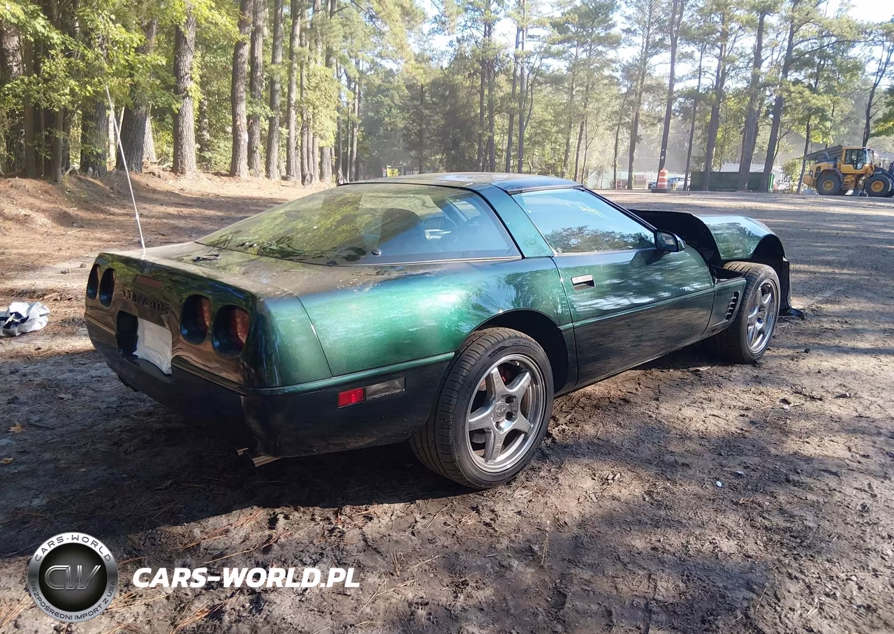 1996 Chevrolet Corvette VIN:1G1YY22P4T5104203 - 4