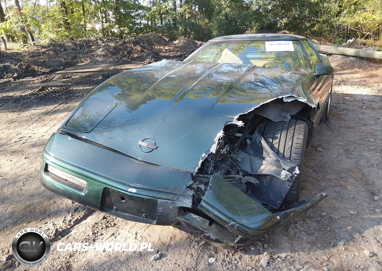 1996 Chevrolet Corvette VIN:1G1YY22P4T5104203 - 6