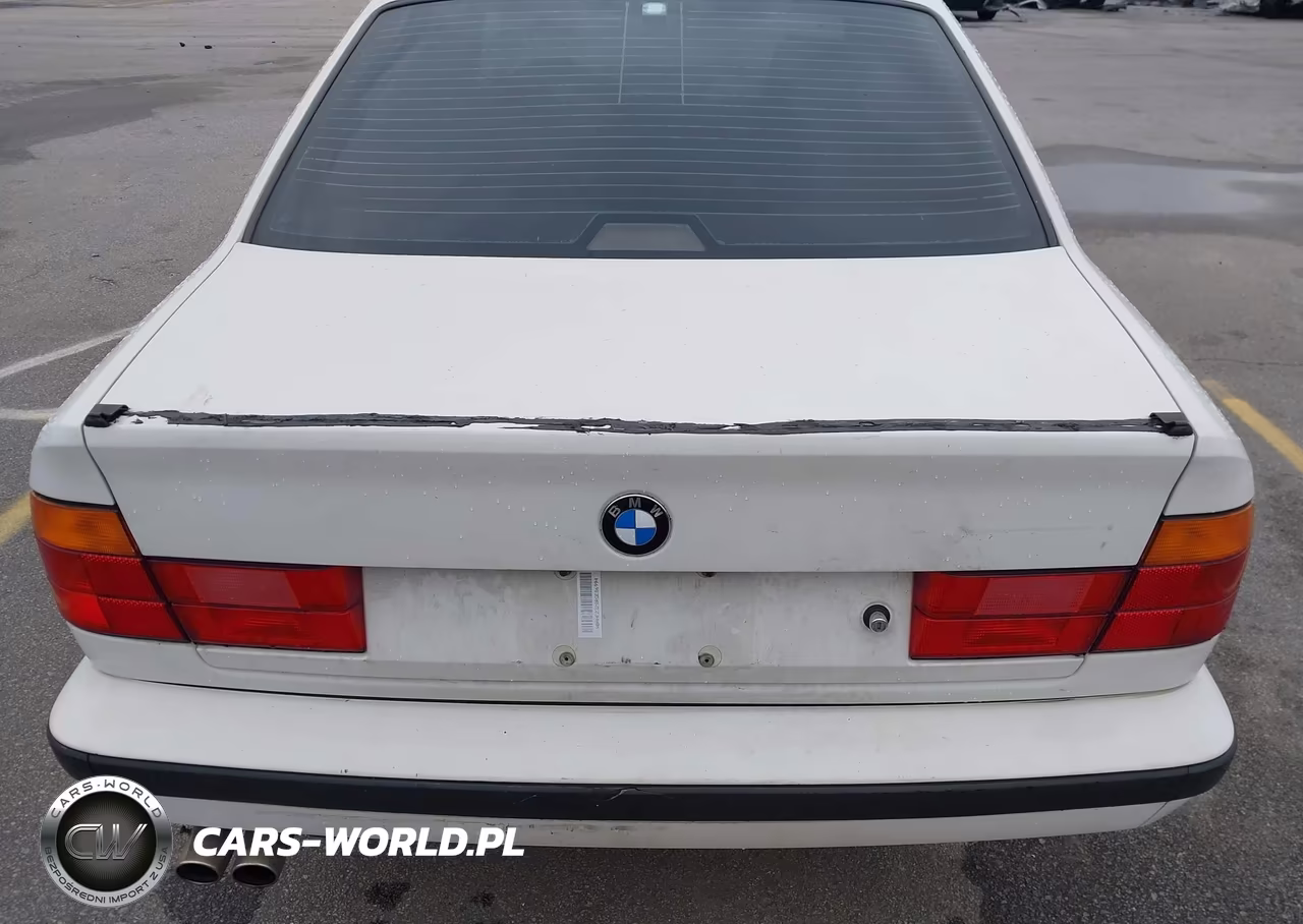 1994 BMW 530 I Automatic VIN:WBAHE2328RGE86994 - 6
