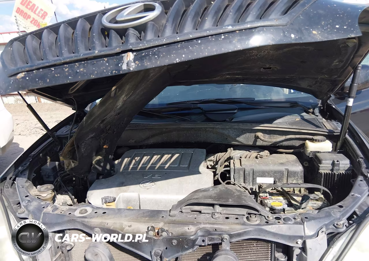 2009 Lexus Rx 350 VIN:2T2GK31U89C077533 - 10