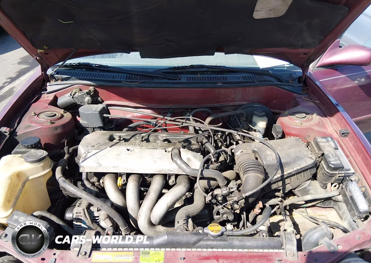 1998 Toyota Corolla VIN:2T1BR18E4WC027656 - 10
