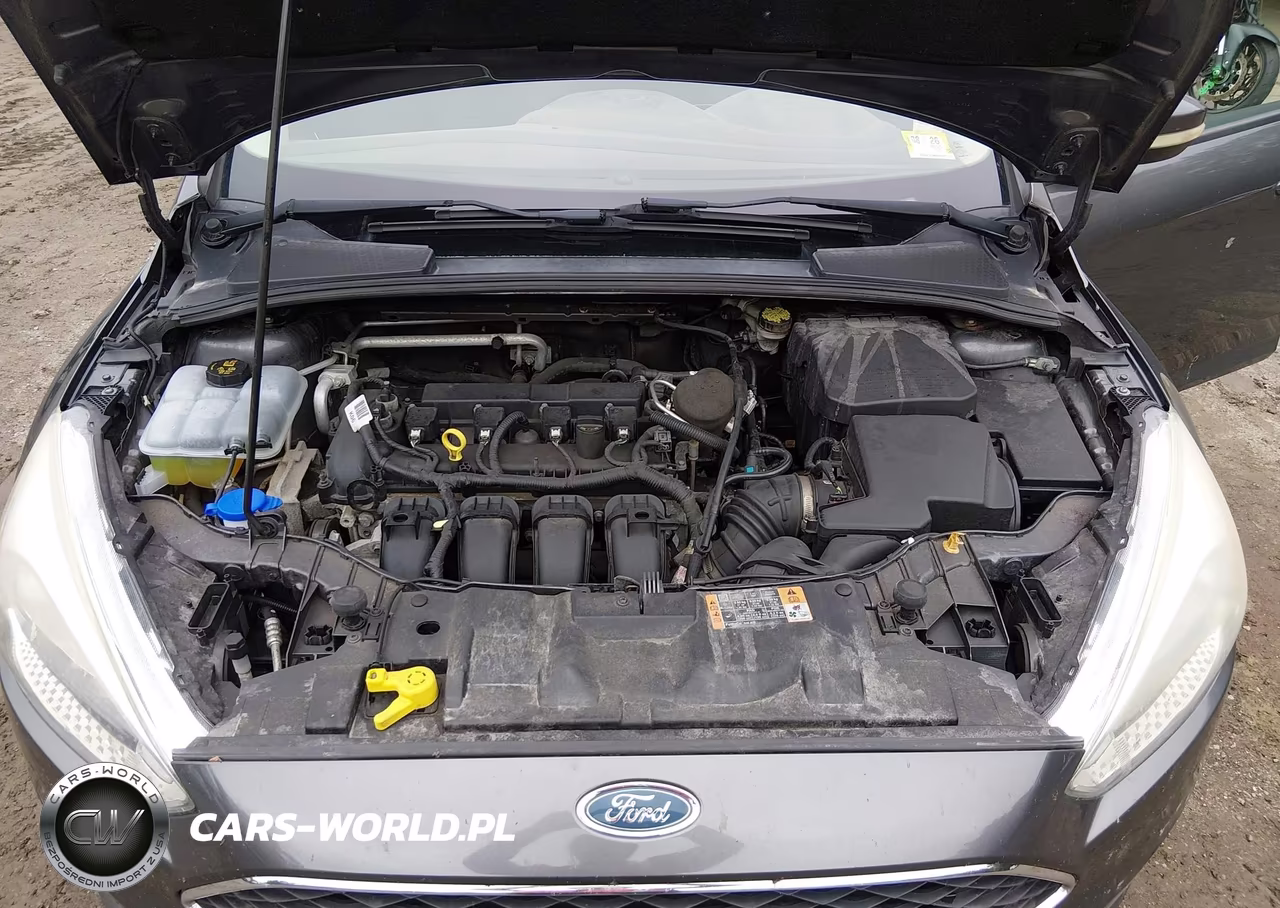 2015 Ford Focus Se VIN:1FADP3K21FL214313 - 10