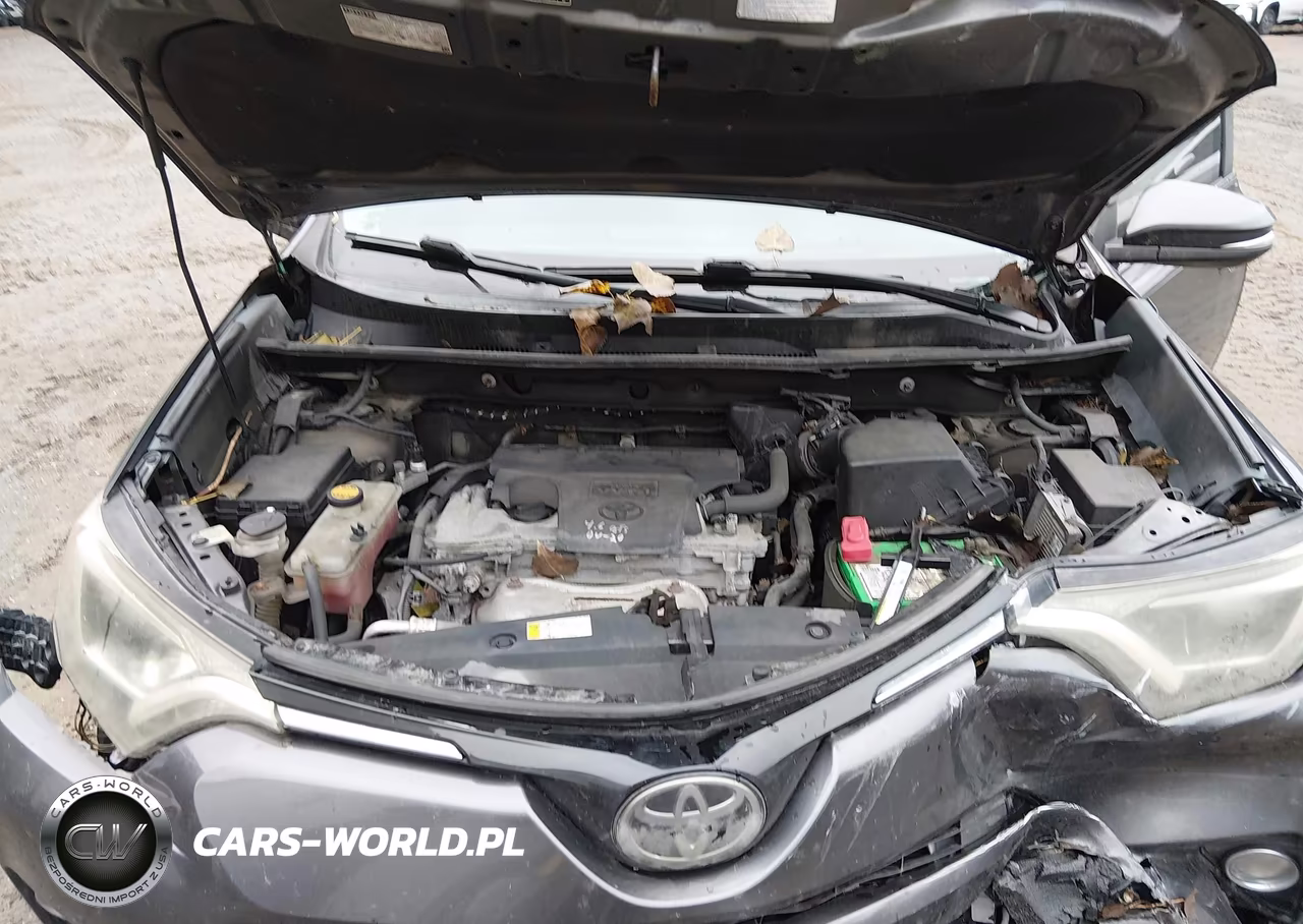 2017 Toyota Rav4 Xle VIN:2T3RFREV7HW572897 - 10