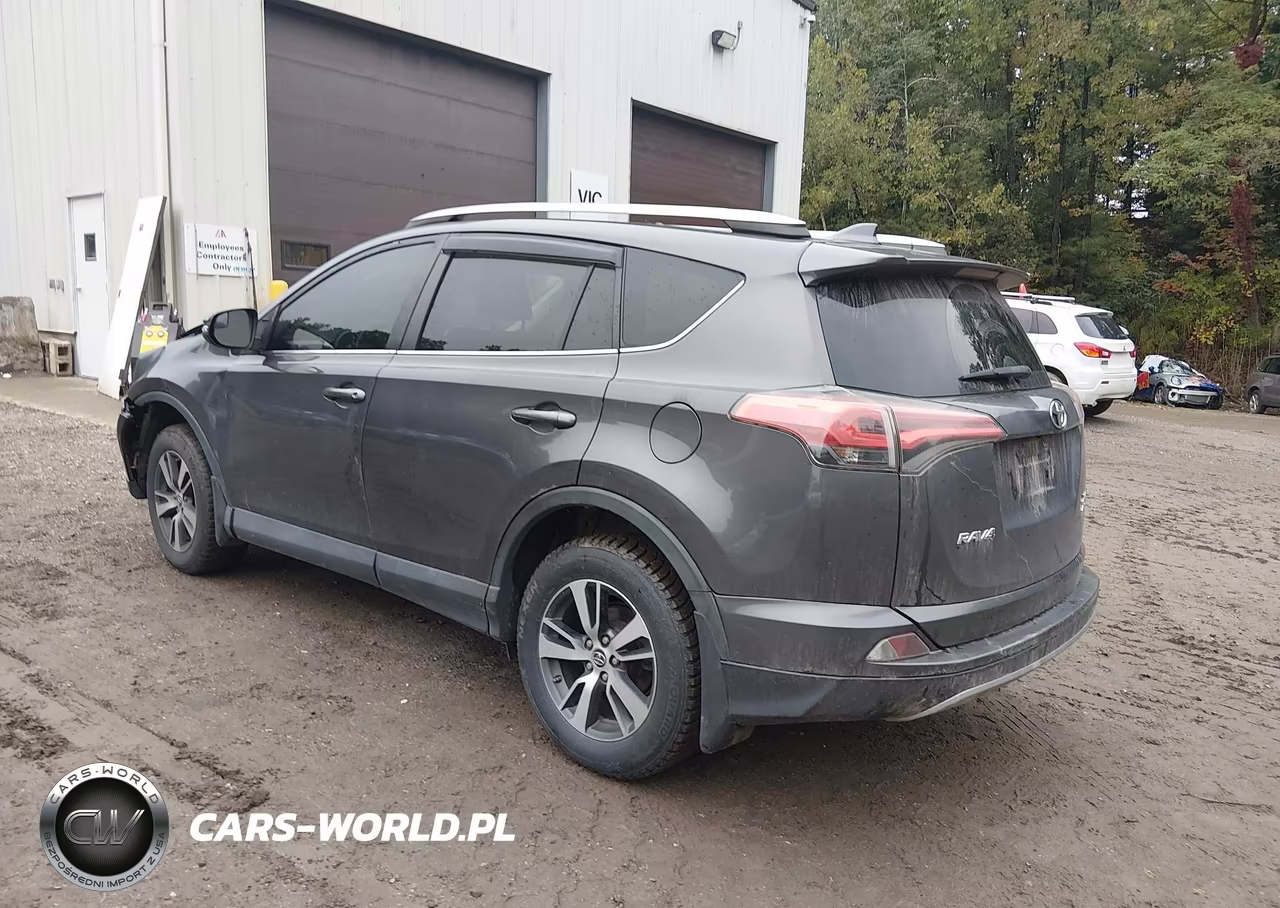 2017 Toyota Rav4 Xle VIN:2T3RFREV7HW572897 - 3