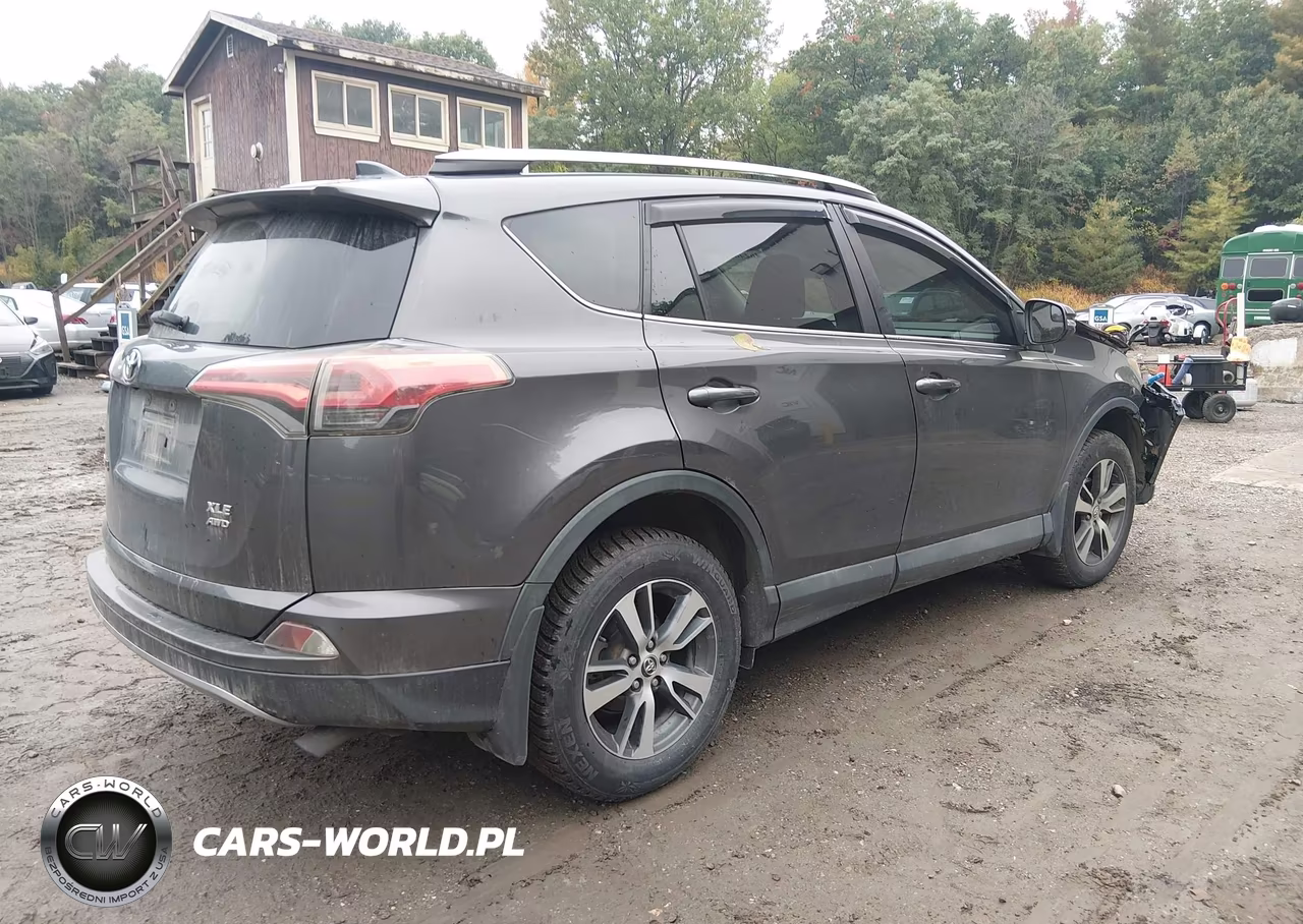 2017 Toyota Rav4 Xle VIN:2T3RFREV7HW572897 - 4
