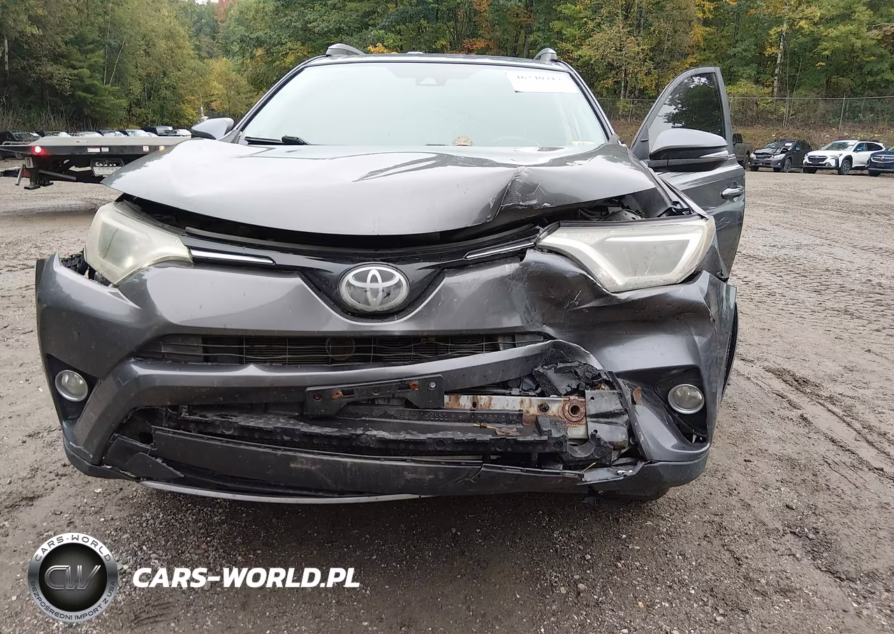 2017 Toyota Rav4 Xle VIN:2T3RFREV7HW572897 - 6