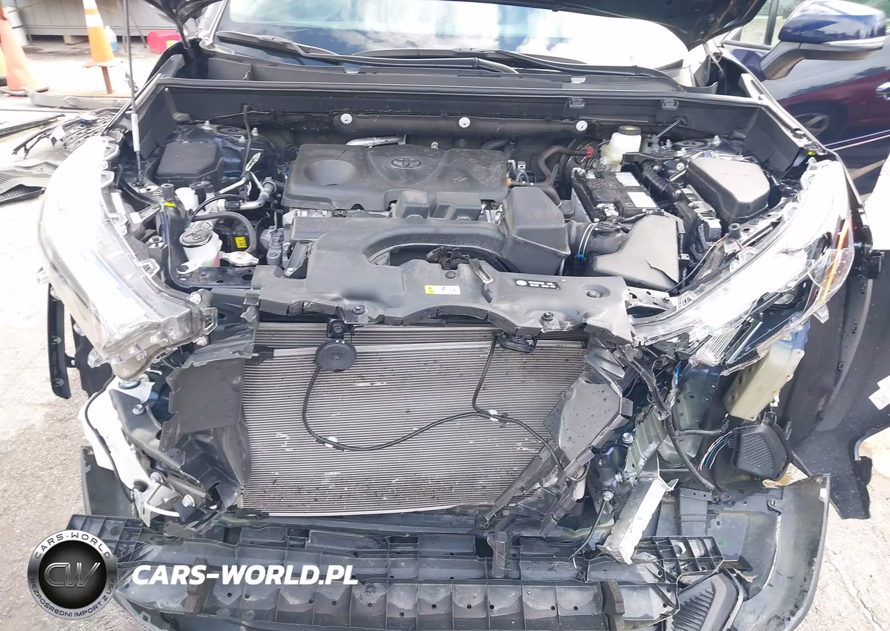 2024 Toyota Rav4 Xle VIN:2T3P1RFV5RW462761 - 10