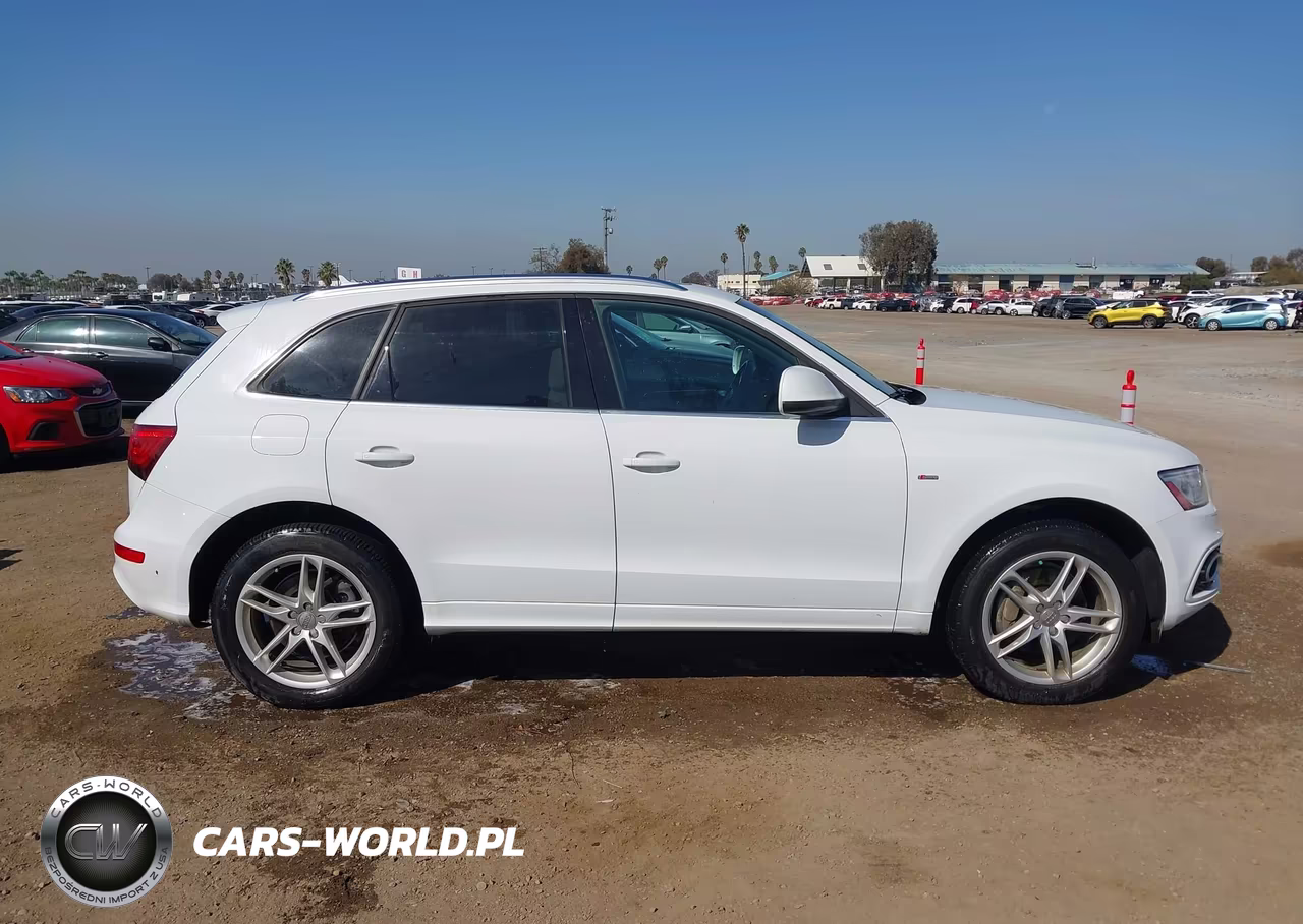 2013 Audi Q5 3.0T Premium Plus VIN:WA1DGAFP0DA056246 - 13