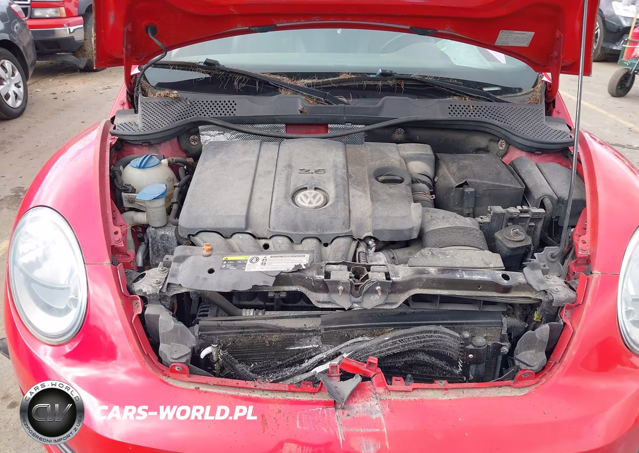 2013 Volkswagen Beetle 2.5L VIN:3VW5P7AT1DM813883 - 10