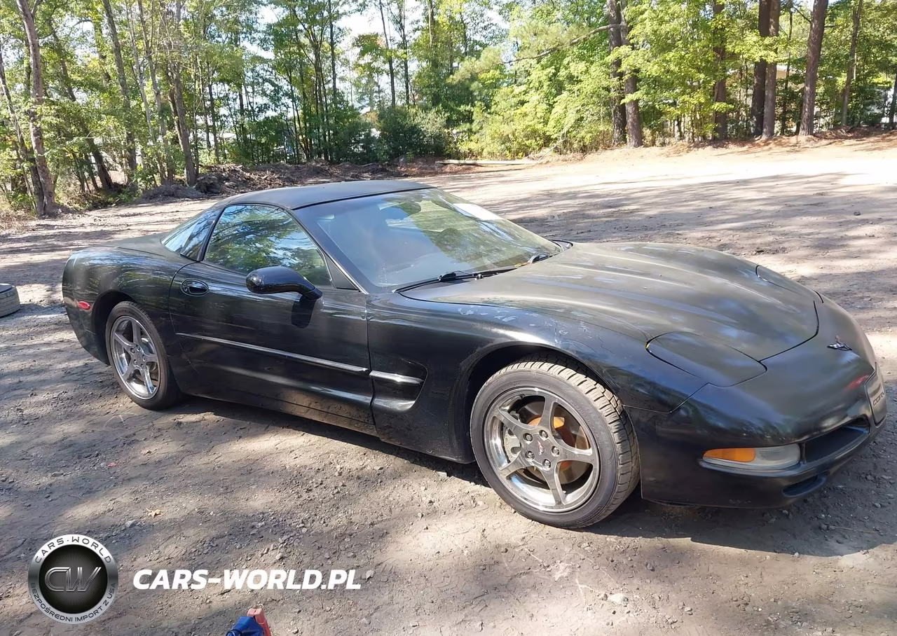 1997 Chevrolet Corvette VIN:1G1YY22G1V5101987 - 1