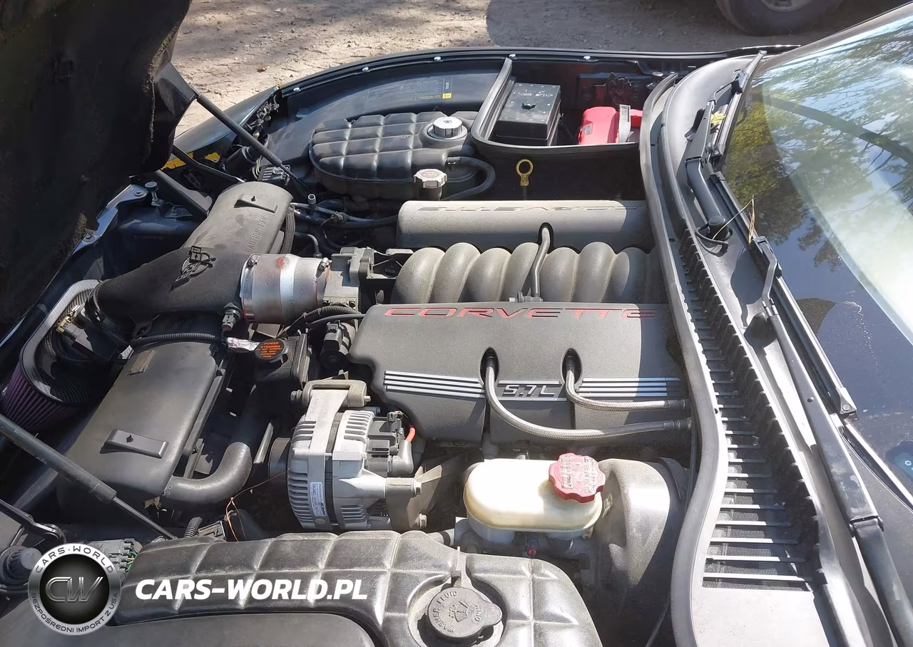 1997 Chevrolet Corvette VIN:1G1YY22G1V5101987 - 10