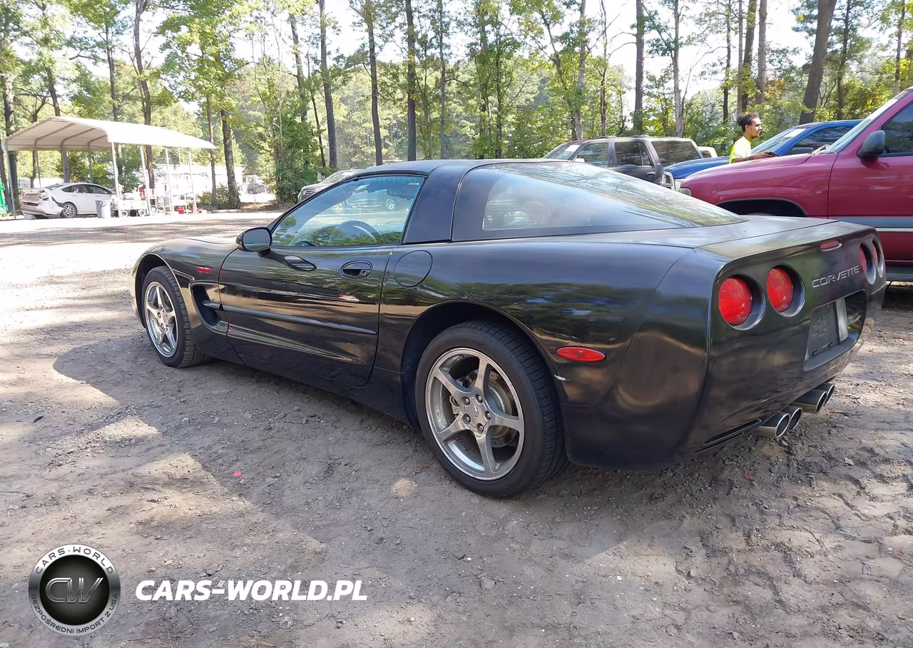 1997 Chevrolet Corvette VIN:1G1YY22G1V5101987 - 3