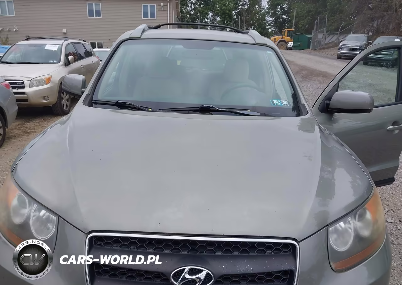 2007 Hyundai Santa Fe Gls VIN:5NMSG13D97H087142 - 10