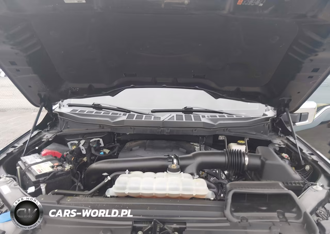 2021 Ford F-150 Lariat VIN:1FTFW1E87MFA03011 - 10